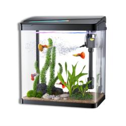 Acuario Led  Completo 60lt