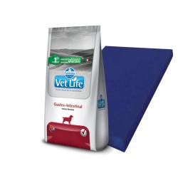 VetLife can gastro 10kg