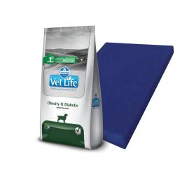 Vetlife can obesity y diabetic 10 kg