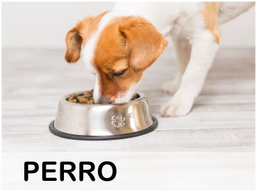 Alimento para perro